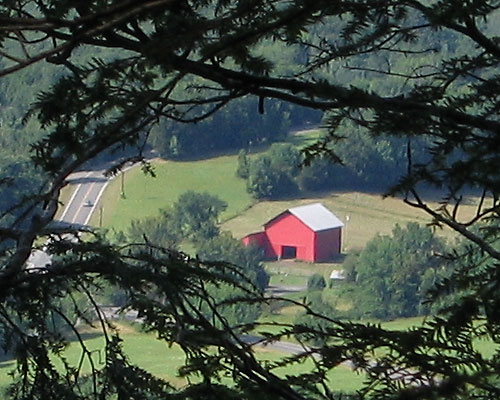 Why yes, I was born in a barn.