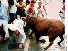 I’ll chase the Bull
