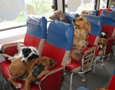 Not much going today