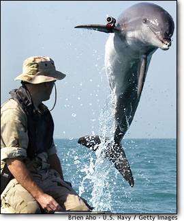 I didn’t have usable picture