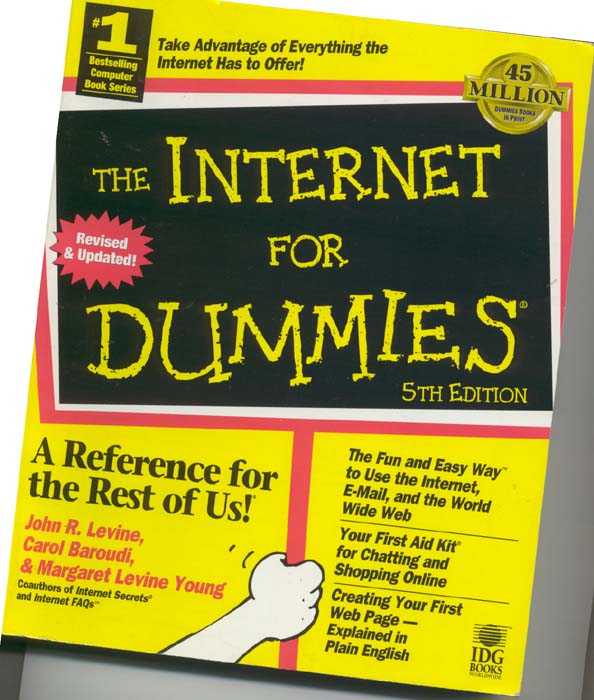 Website for Dummies