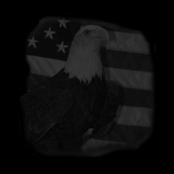 Election Day Hangover