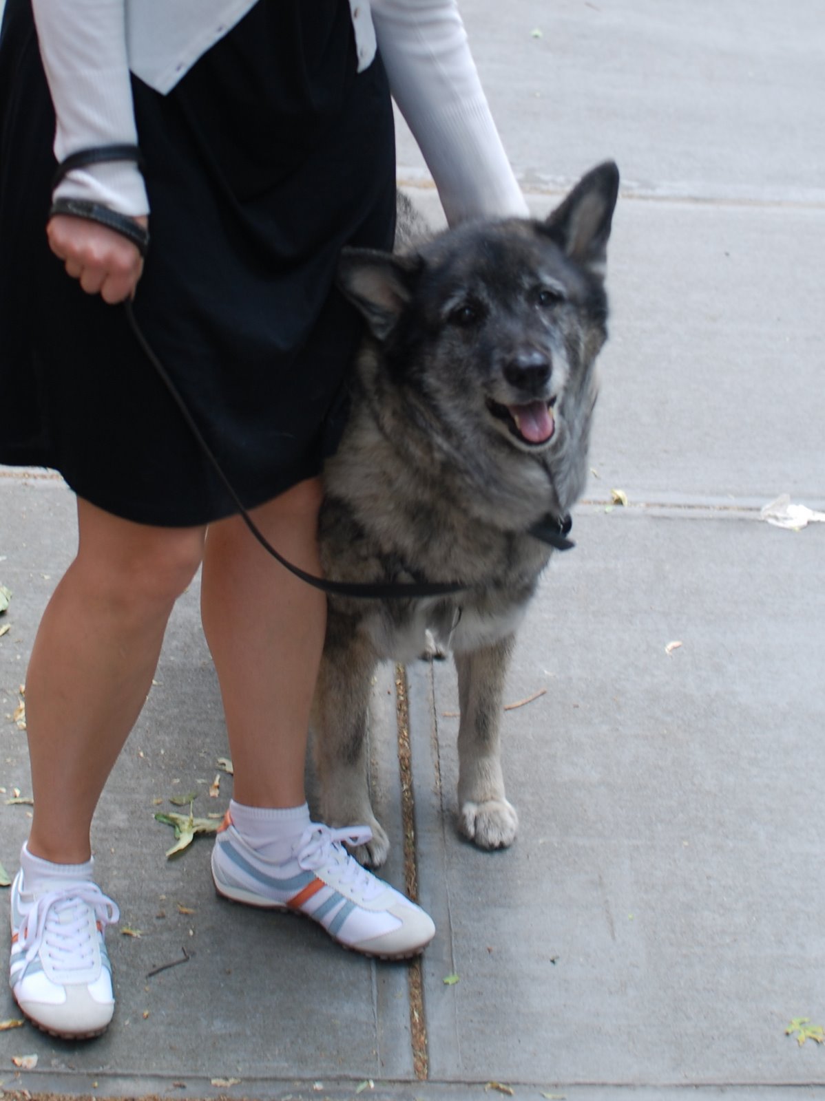 Walking Elliot