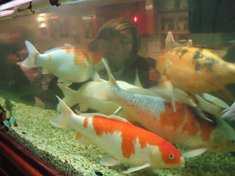 Mary Being Coy At Joe’s Shanghai