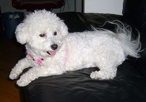 Some New Girl Has a Crush on Me At Work