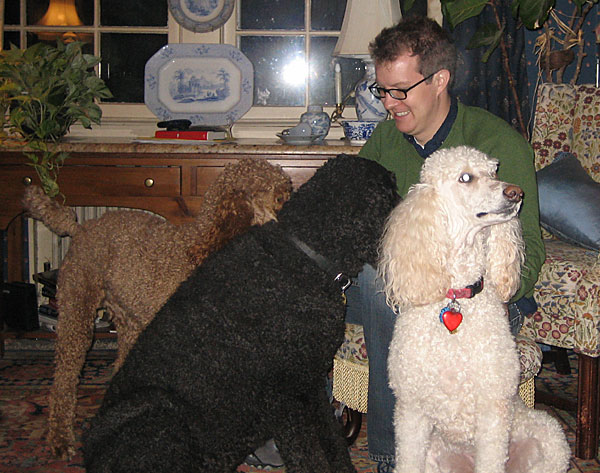 Oodles of Poodles