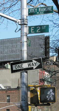 Sean is a punk rocker.