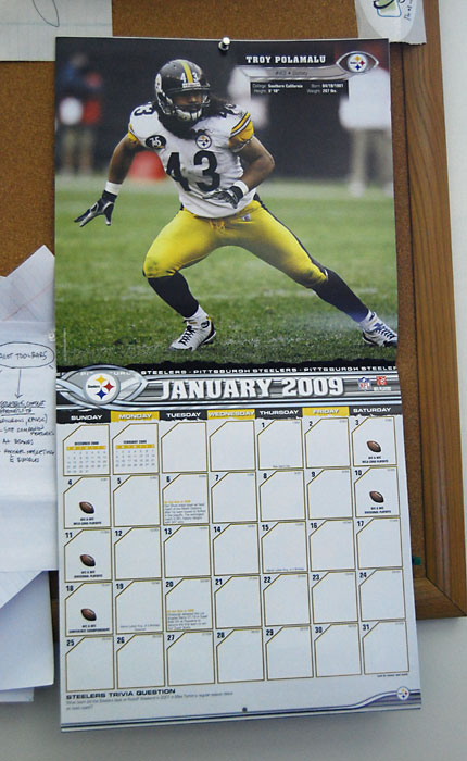 Steelers 2009!