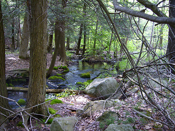 Altoona Odds and Ends