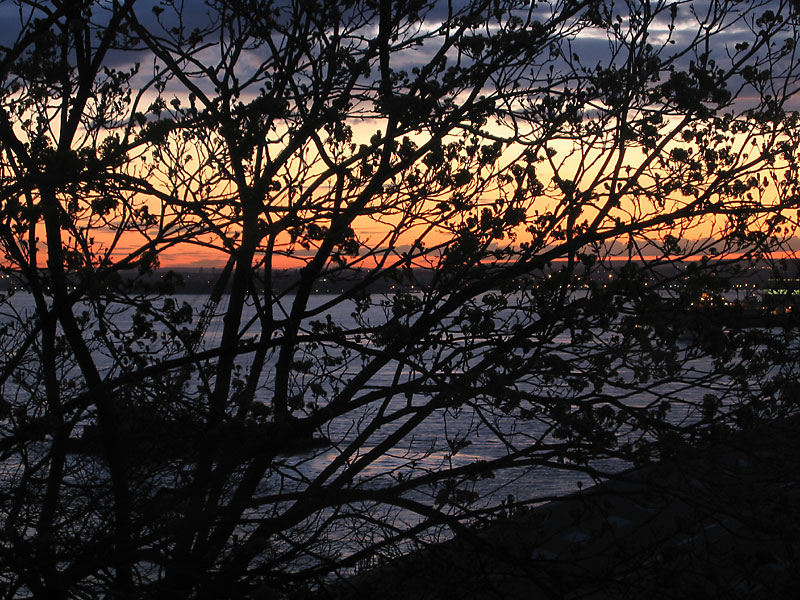 It’s a Brand New Day