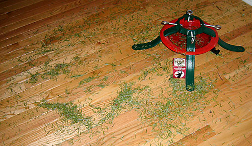 Wait, Why Did I Get a Tree?